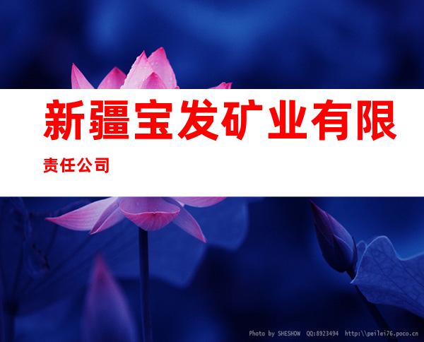 新疆宝发矿业有限责任公司